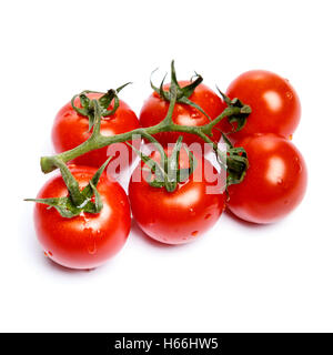 Eiertomaten mit Blättern auf weißem Hintergrund Stockfoto