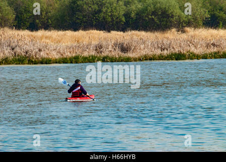 Ein Kajakfahrer, Paddeln am Fluss Stör in der Nähe von St. Albert, Alberta, Kanada Stockfoto