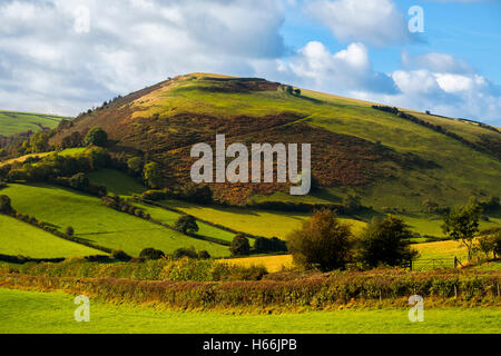 Herbstsonne auf Caer Caradoc Eisenzeit Wallburg in der Nähe von Kapelle Rasen, Clun, Shropshire, England, UK Stockfoto