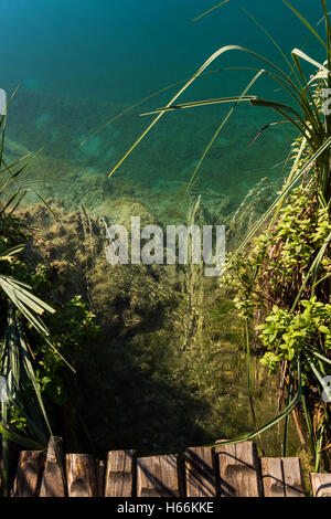 Nationalpark Plitvicer Seen ist eines der ältesten Nationalparks in Südost-Europa und der größte Nationalpark in Kroatien. Stockfoto
