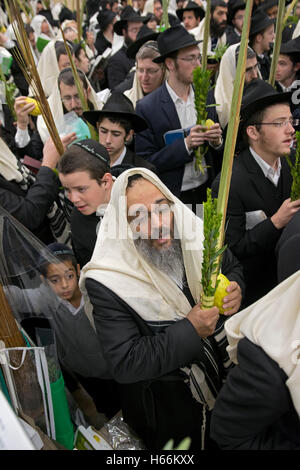 Einen religiösen jüdischen Mann Segen ein Etrog & Lulaw in einer überfüllten Synagoge in Brooklyn, New York. Stockfoto