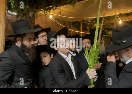 Eine religiöse jüdische Junge Segen ein etrog & lulav in einem überfüllten Laubhütte in Brooklyn, New York. Stockfoto