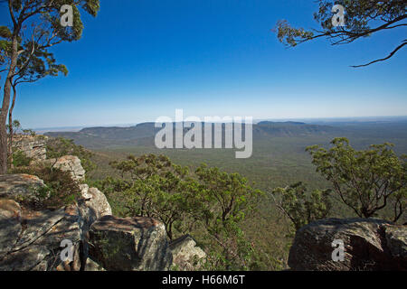 Spektakulären weiten australischen Landschaft, bewaldeten Tälern & Böschung von hohen felsigen Aussichtspunkt, Blackdown Tablelands Nationalpark in Queensland Stockfoto