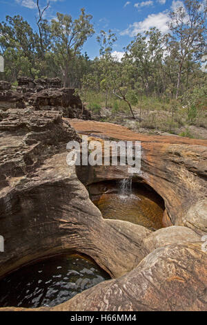 Tiefe Löcher in den Sandsteinfelsen ausgehöhlt durch Wasser aus Bach rieselt wie Miniatur Wasserfall unter Wäldern Blackdown Tablelands N Pk Australia Stockfoto
