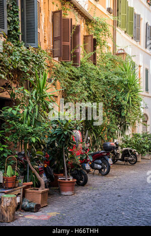 Malerische Aussicht auf einer Straße im Stadtteil Trastevere, Rom, Latium, Italien Stockfoto