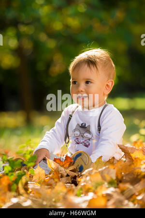 Zwei Jahre alten Jungen spielen im park Stockfoto
