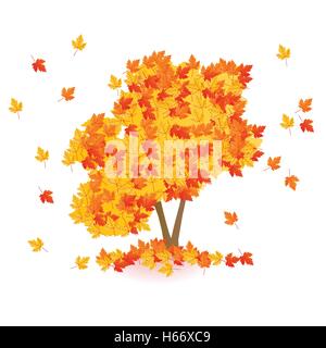 Herbst gelb-orange-rot-Ahorn-Baum isoliert auf weißem Hintergrund Stock Vektor