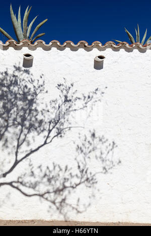 Ein Schatten eines Olivenbaums auf einer weißen Wand in Cadaques, Costa Brava, Spanien. Stockfoto