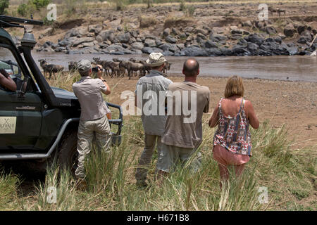 Touristen, die gerade Dreharbeiten Gnus Migration Mara Fluss Masai Mara Kenia Stockfoto