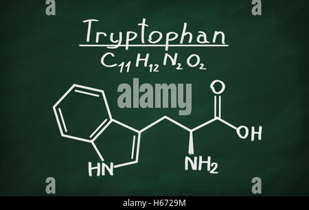 Strukturmodell des Tryptophan an die Tafel. Stockfoto