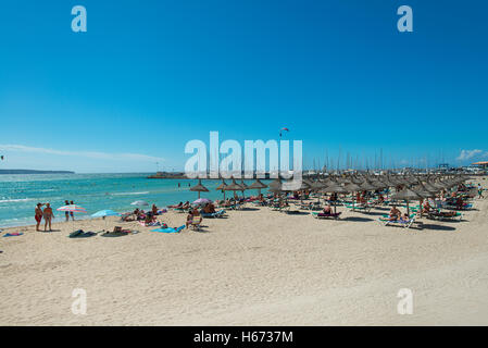 Am Strand können Pastilla, Mallorca, Balearen, Spanien Stockfoto