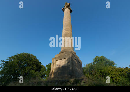 Admiral Hood-Denkmal in Somerset Stockfoto