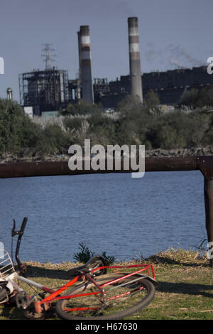 Reserva Ecologica, Buenos Aires, Argentinien Stockfoto