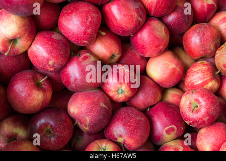 Äpfel für den Verkauf auf Marktstand (Royal Gala Äpfel), Umbria, Italien, Europa Stockfoto
