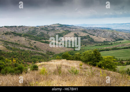 Val d ' Orcia in Herbst, Toskana, Italien, Europa Stockfoto