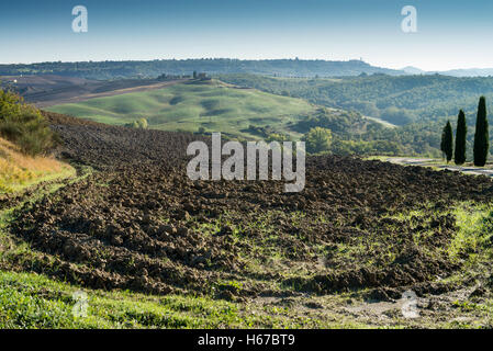 Val d ' Orcia in Herbst, Toskana, Italien, Europa Stockfoto