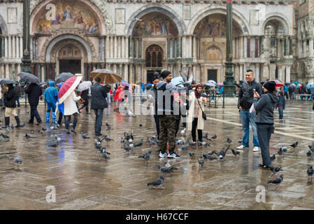 Touristen und Tauben in Markusplatz entfernt, Venedig, Italien Stockfoto