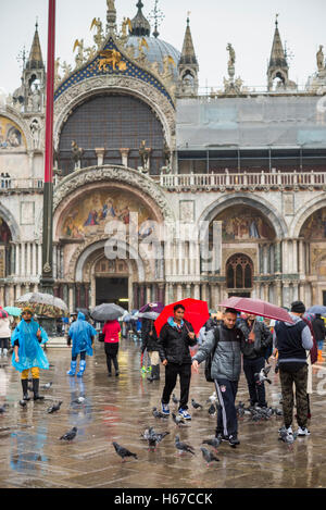 Touristen und Tauben in Markusplatz entfernt, Venedig, Italien Stockfoto
