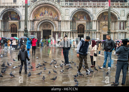Touristen und Tauben in Markusplatz entfernt, Venedig, Italien Stockfoto