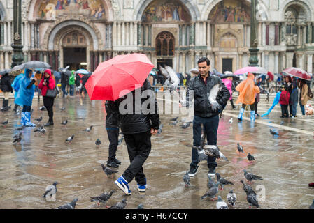 Touristen und Tauben in Markusplatz entfernt, Venedig, Italien Stockfoto