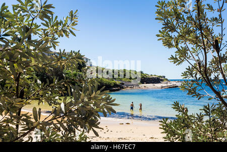 Clovelly Beach in Sydney an einem schönen Frühlingstag Stockfoto