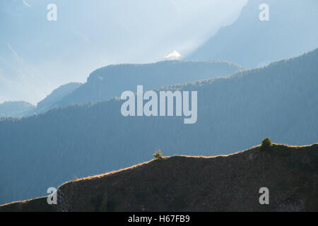 Schichten von Mountainbike Dolomiten Herbst in Südtirol. Italien Stockfoto