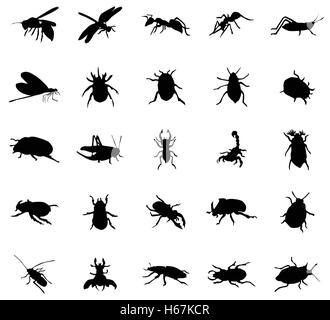 Käfer Silhouetten eingestellt Stock Vektor