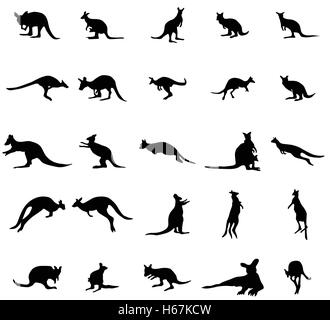 Känguru Silhouetten eingestellt Stock Vektor