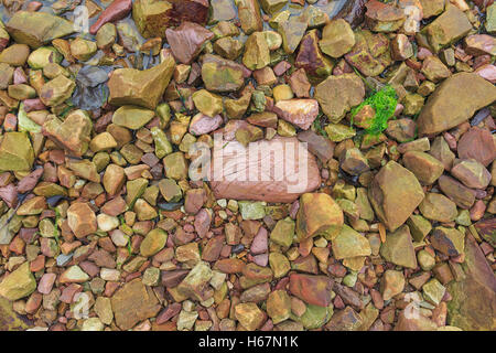 Taacrgngm, grün, Natur, Hintergrund, Muster, niemand, abstrakt, rock, alt, Oberfläche, Sommer, Textur, weiß, Bild, Blatt, Baum, Stockfoto