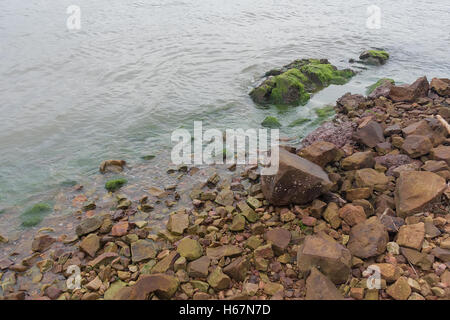 Taacrgngm, grün, Natur, Hintergrund, Muster, niemand, abstrakt, rock, alt, Oberfläche, Sommer, Textur, weiß, Bild, Blatt, Baum, Stockfoto