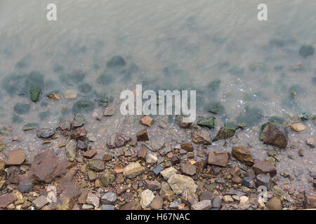 Taacrgngm, grün, Natur, Hintergrund, Muster, niemand, abstrakt, rock, alt, Oberfläche, Sommer, Textur, weiß, Bild, Blatt, Baum, Stockfoto