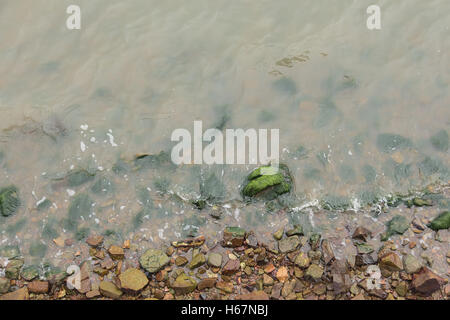 Taacrgngm, grün, Natur, Hintergrund, Muster, niemand, abstrakt, rock, alt, Oberfläche, Sommer, Textur, weiß, Bild, Blatt, Baum, Stockfoto