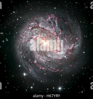 Messier 83, südlichen Pinwheel Galaxie M83 oder NGC 5236 ist eine vergitterte Spiralgalaxie im Sternbild Hydra. Stockfoto