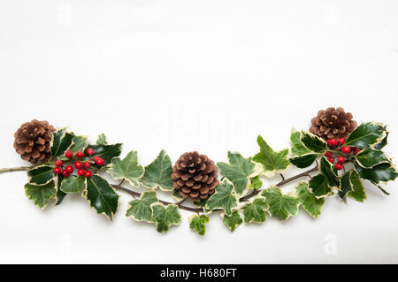 Festliche Zweig von Holly und Ivy Blätter mit Beeren isoliert auf einem weißen Hintergrund für eine Weihnachts-Vorlage Stockfoto