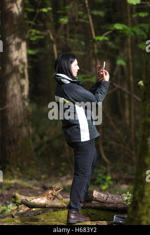 Frau unter Bild mit Handy in ländlicher Umgebung Stockfoto