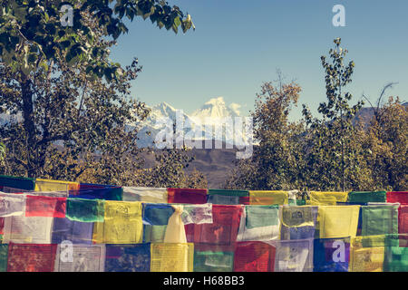 Viele buddhistische Gebetsfahnen im Wind. Stockfoto