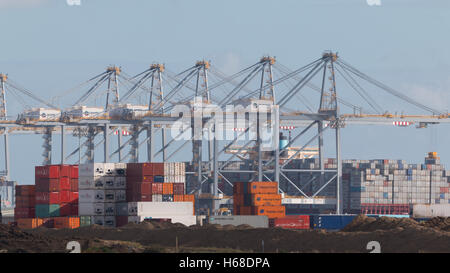 DP World London Gateway Terminal in der Themsemündung Stockfoto