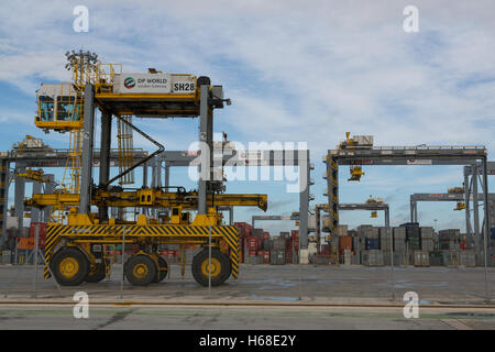 DP World London Gateway Terminal in der Themsemündung Stockfoto