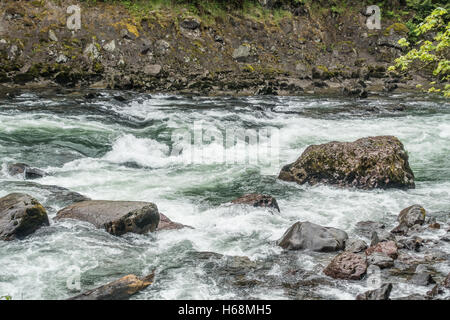 Wildwasser rauscht vorbei an Felsbrocken auf dem Snoqualmie River im US-Bundesstaat Washington. Stockfoto