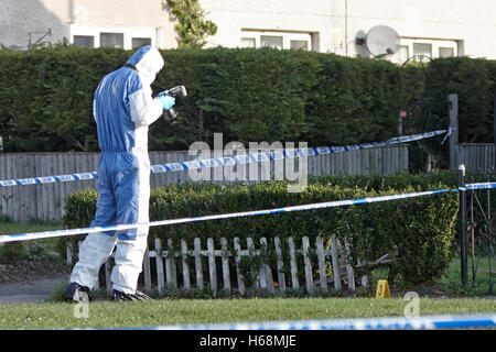 Ein forensische Offizier untersucht die Szene eines ungeklärten Todes in Argyle Avenue, Aylesbury Stockfoto