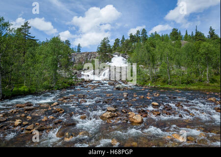 Wasserfall auf dem Bergfluss in Norwegen. Stockfoto