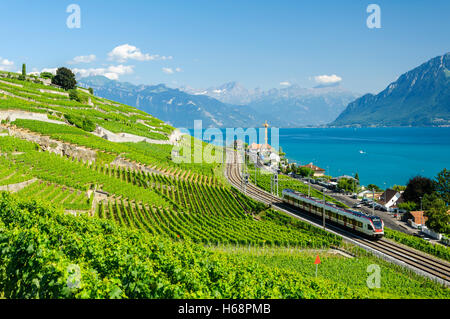 Das Lavaux Weinberg Terrassen UNESCO-Weltkulturerbe in der Nähe von Lausanne in der Schweiz am Genfer See Stockfoto