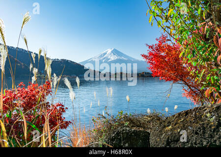 Mount Fuji Herbst Landschaft, Fuji, Japan Stockfoto