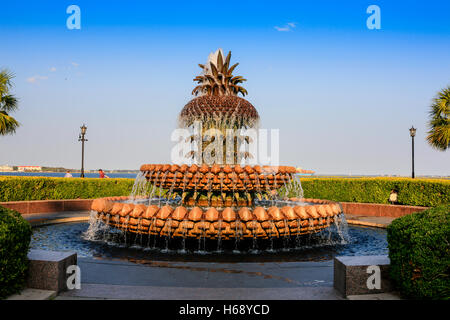 Die Ananas-Brunnen in der Waterfront Park in Charleston SC Stockfoto