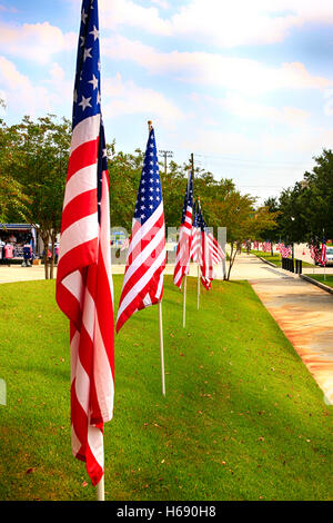 Amerikanische Flaggen säumen die Straßen rund um die Zitadelle in Charleston SC Stockfoto