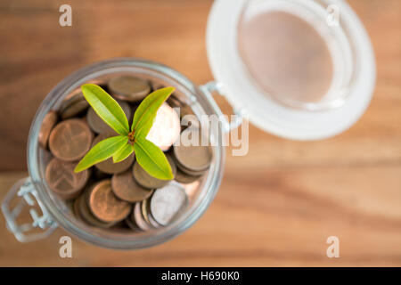 Pflanze wächst aus Münzen Glas Stockfoto