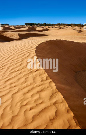 Die Sahara Wüste Sanddünen des Erg Oriental in der Nähe der Oasis von Ksar Ghilane, Tunesien, Afrika Stockfoto