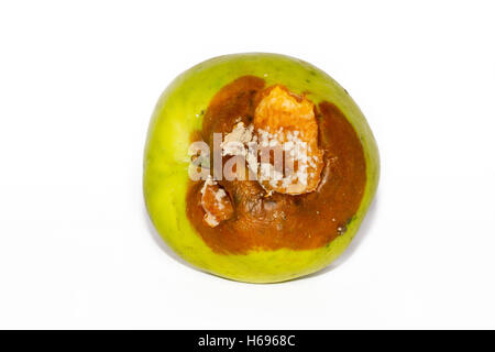 Fauler Apfel Stockfoto