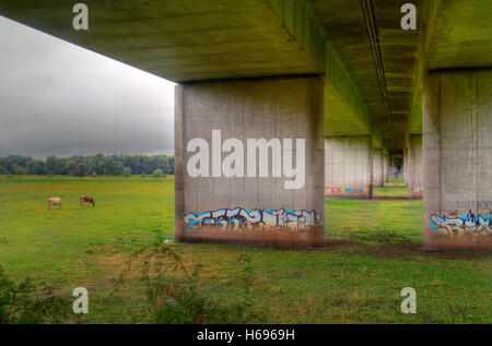 Graffiti auf Säulen der Straße Brücke über die Ijssel und seine Aue in der Nähe von Deventer in den Niederlanden Stockfoto