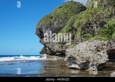 Erodierte Felsenküste mit Naturgebilde, das aussieht wie ein Monster Kopf, Rurutu Insel, Pazifik, Französisch-Polynesien Stockfoto